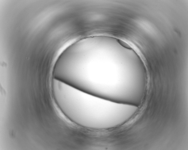 X0000091240957200708091129