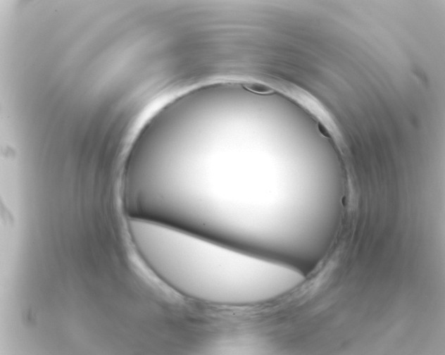 X0000091240958200708091129