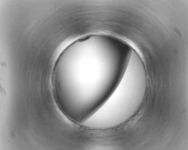 X0000091240959200708091129