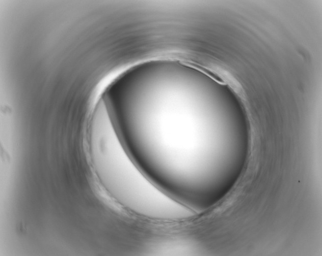 X0000091240960200708091129