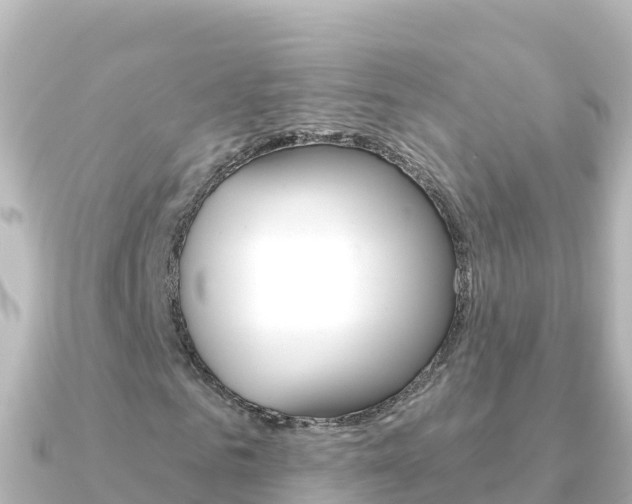 X0000091240961200708091128
