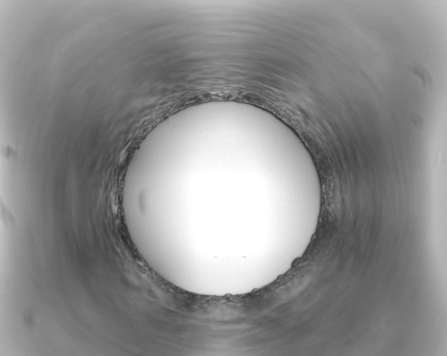 X0000091240962200708091128