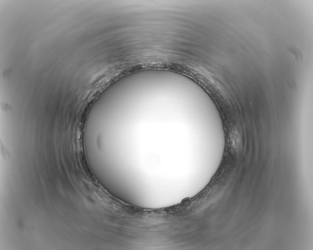 X0000091240964200708091128