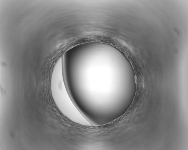 X0000091240965200708091128