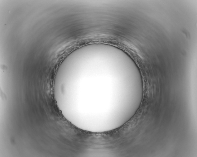X0000091240966200708091128