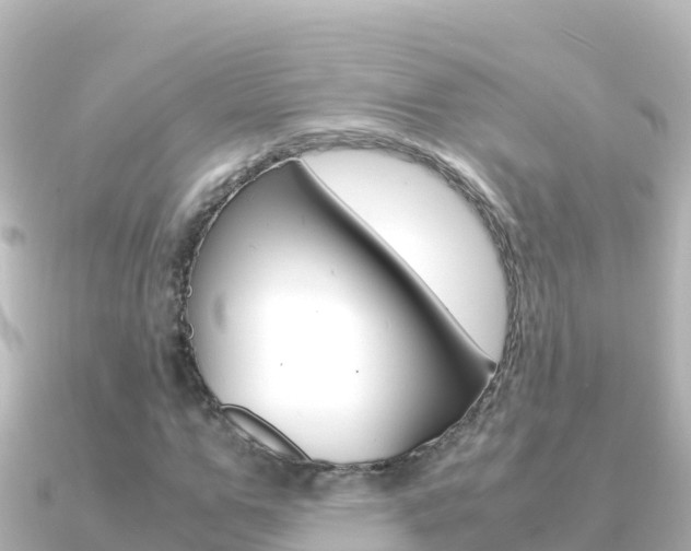 X0000091240967200708091128