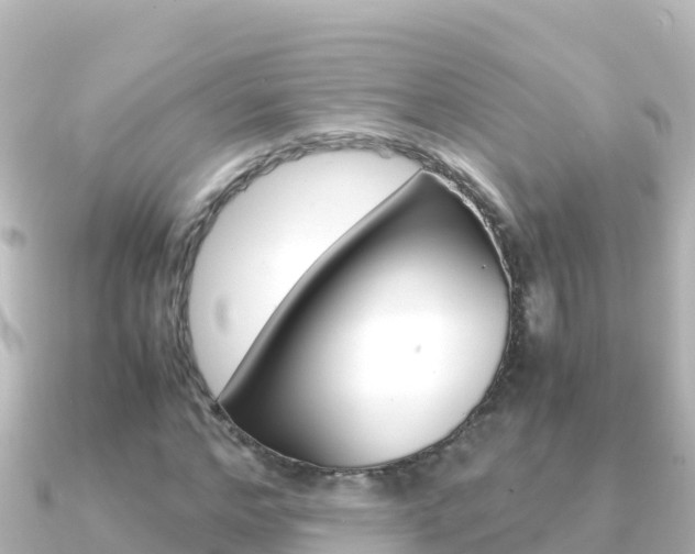 X0000091240968200708091128
