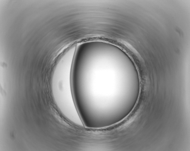 X0000091240969200708091128