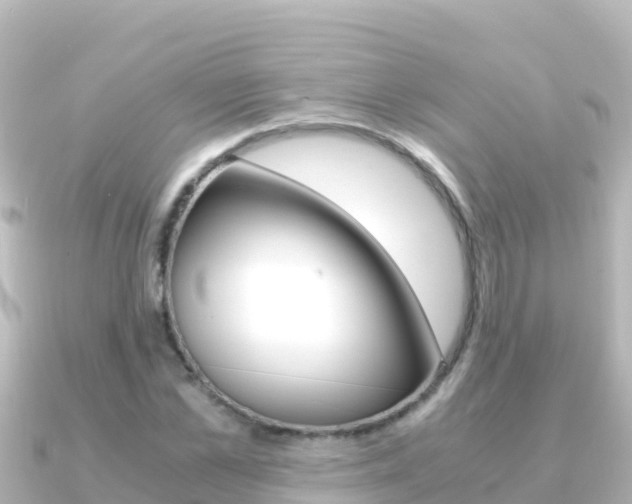 X0000091240973200708091128
