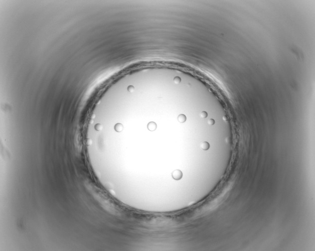 X0000091240974200708091128