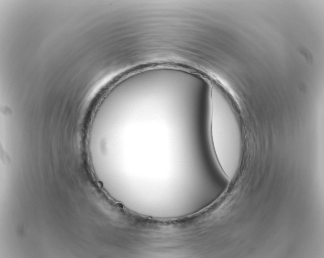 X0000091240975200708091128