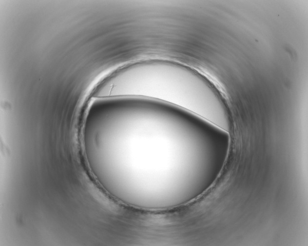 X0000091240976200708091128