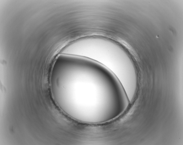 X0000091240977200708091128