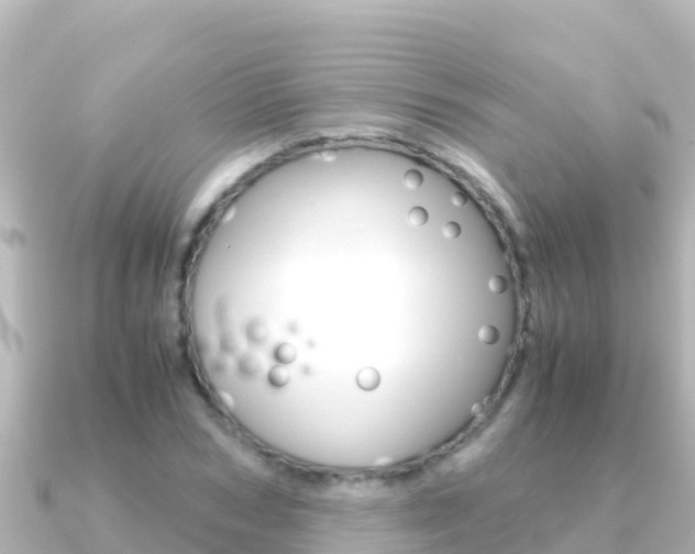 X0000091240978200708091128