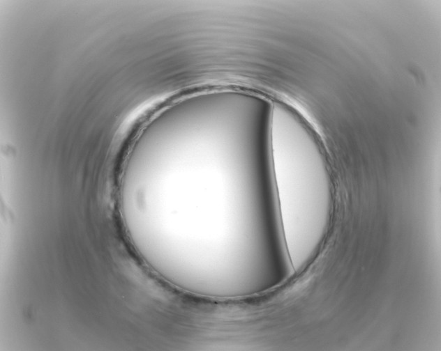 X0000091240979200708091128
