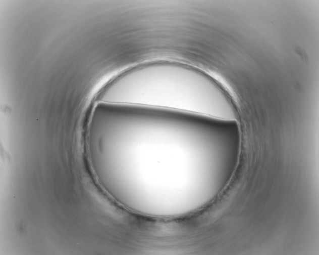 X0000091240983200708091128