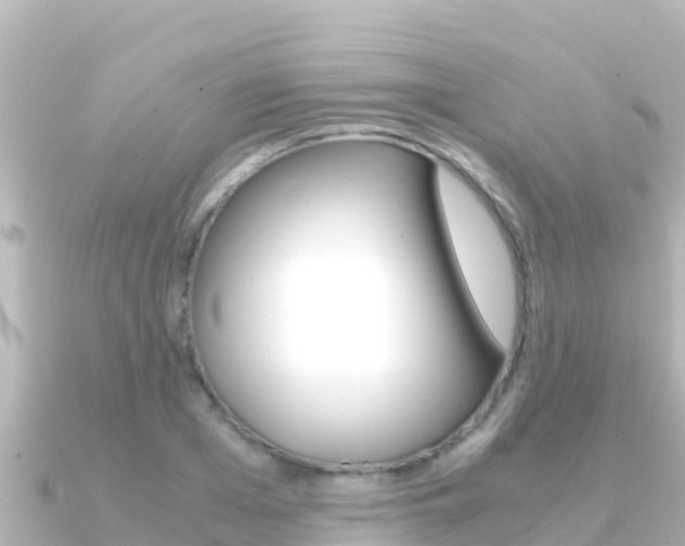 X0000091240985200708091128