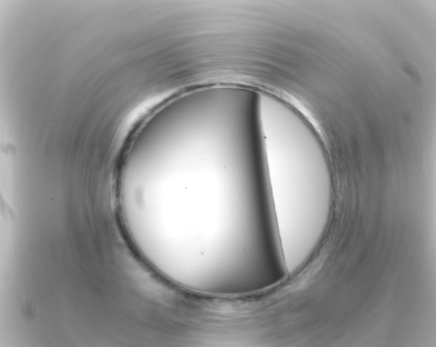 X0000091240987200708091128