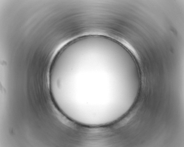 X0000091240988200708091128
