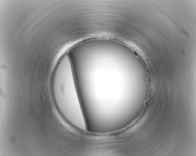 X0000091240989200708091128