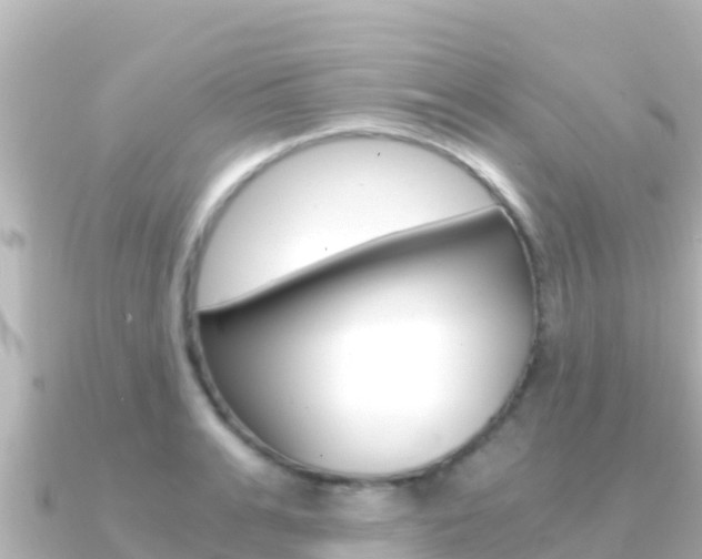 X0000091240991200708091128