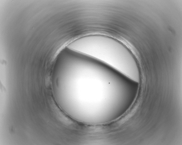 X0000091240993200708091128