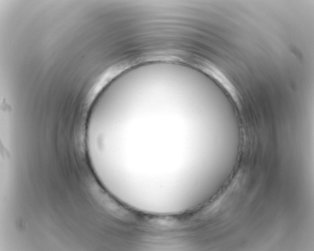 X0000091240994200708091128