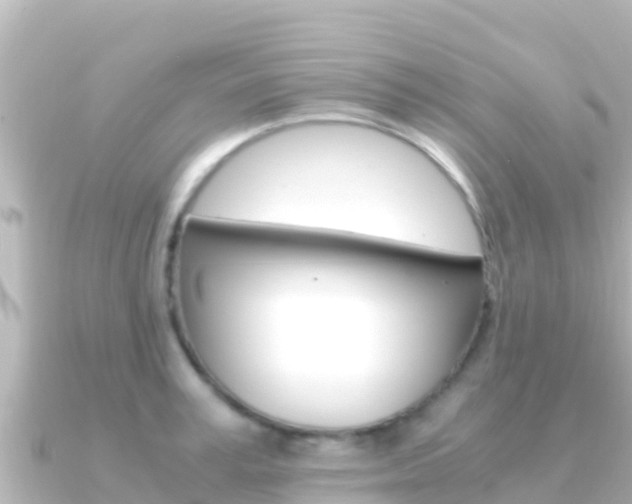 X0000091240995200708091128