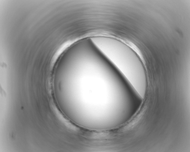 X0000091240997200708091128