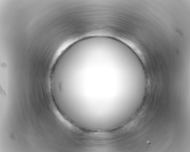 X0000091240998200708091128