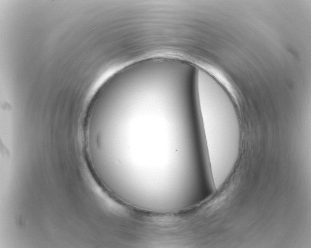 X0000091240999200708091128