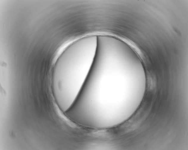 X0000091241006200708091128