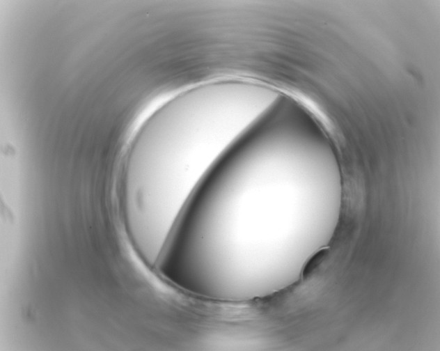 X0000091241007200708091128