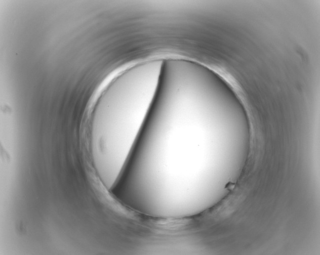 X0000091241008200708091128