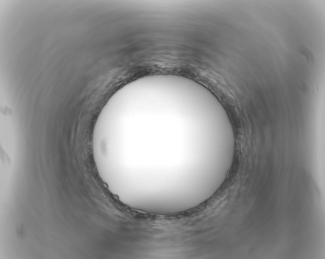 X0000091241009200708091127