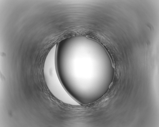 X0000091241010200708091127
