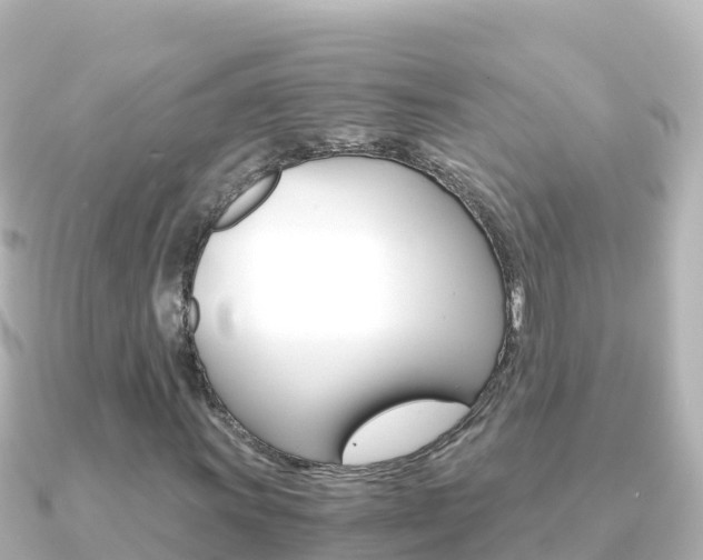 X0000091241011200708091127