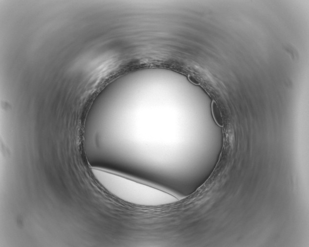 X0000091241012200708091127