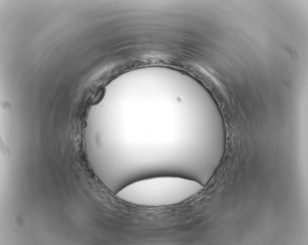 X0000091241015200708091127