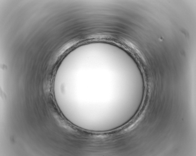 X0000091241017200708091127