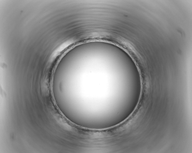 X0000091241018200708091127