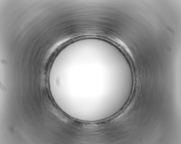 X0000091241019200708091127