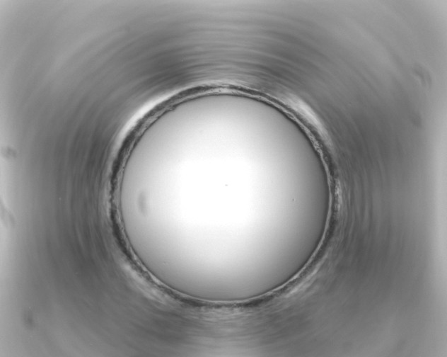 X0000091241020200708091127