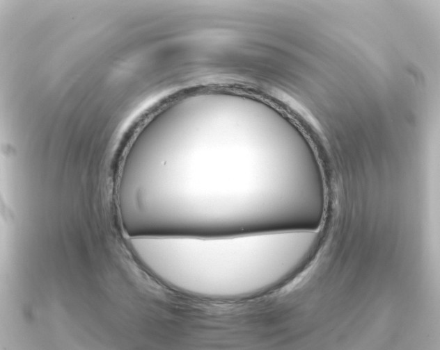 X0000091241021200708091127