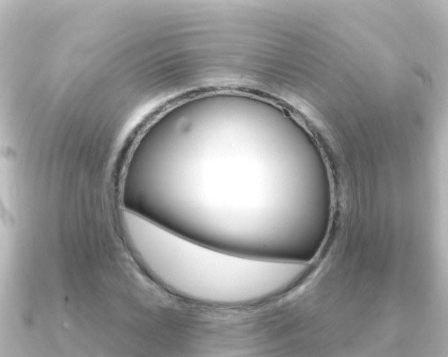 X0000091241022200708091127