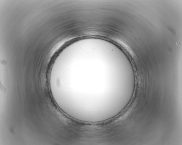 X0000091241023200708091127