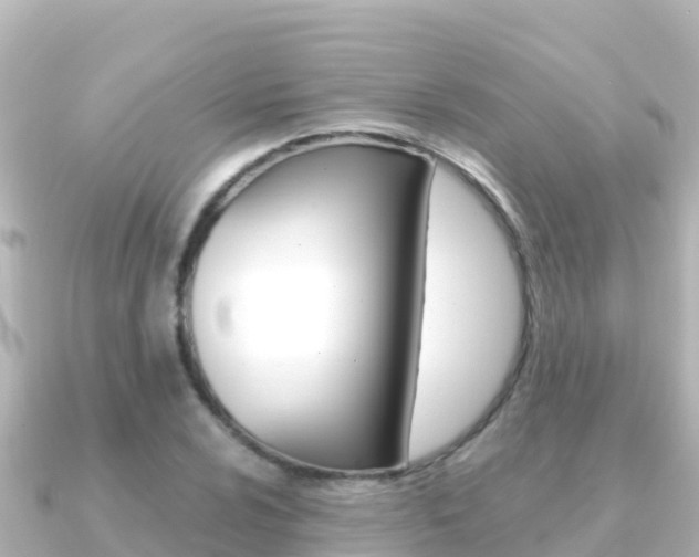 X0000091241024200708091127