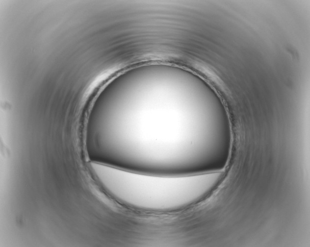 X0000091241026200708091127