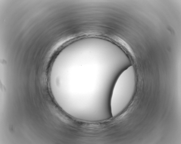 X0000091241027200708091127