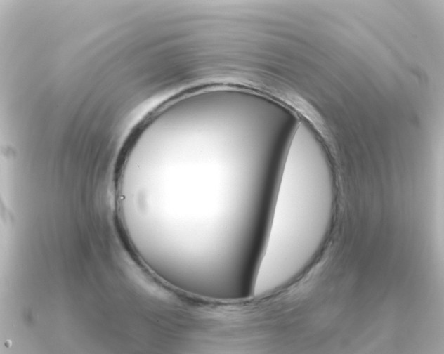 X0000091241028200708091127